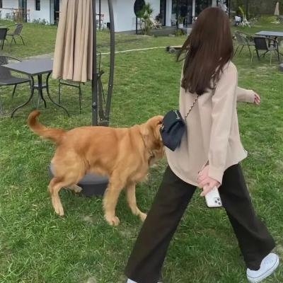 狐妖皇嫂